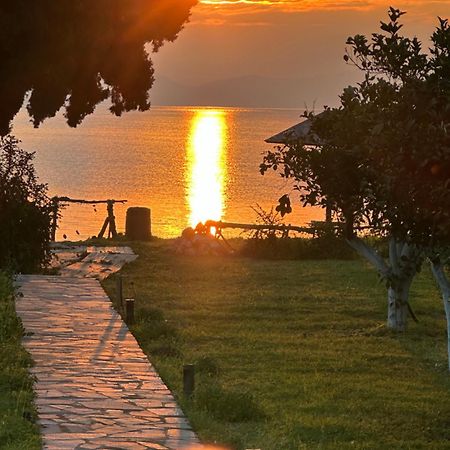 Villa Maria Epidaurus Экстерьер фото