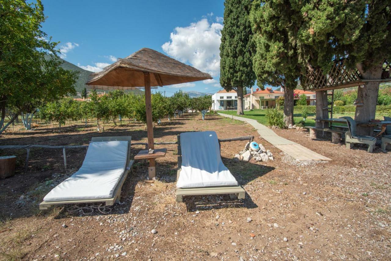 Villa Maria Epidaurus Экстерьер фото